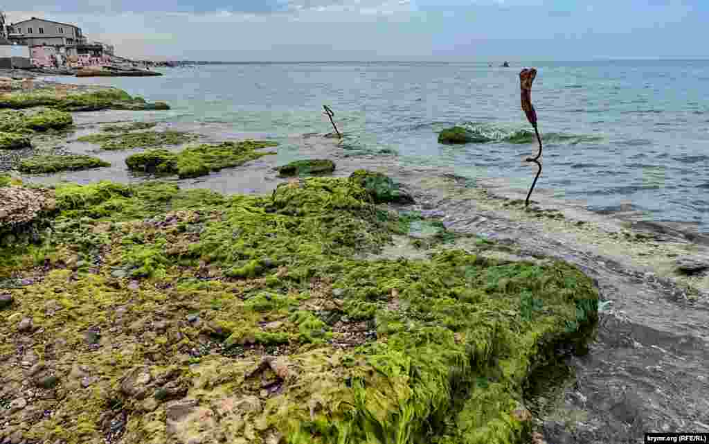 А также торчащей арматуры в воде. Раньше, до 2022 года, крымские российские власти признавали шесть участков береговой линии поселка непригодными для купания. В частности, в границах баз отдыха &laquo;Парус&raquo;, &laquo;Связист&raquo;, &laquo;Чайка&raquo;, &laquo;Голубое пламя&raquo;, &laquo;Строитель&raquo;, &laquo;Монтажник&raquo;, &laquo;Нептун&raquo;, &laquo;Текстильщик&raquo;, &laquo;Южная&raquo;. Объяснялось это обрушением берегоукрепительных сооружений. Другие места, скажем, участок пляжа от границ пансионата &laquo;Полюс&raquo; до пансионата &laquo;Южный&raquo; был непригодным для купания из-за с продолжающихся абразионно-оползневых процессов береговой линии. Ныне же подобной &laquo;антирекламой&raquo; потенциальных курортников местные власти больше не отпугивают, наоборот. Все делают, как пропагандистская &laquo;Комсомольская правда. Крым&raquo;. В 2024 году году она на полном серьезе утверждает, что в Николаевке <a href="https://www.kp.ru/russia/nikolaevk