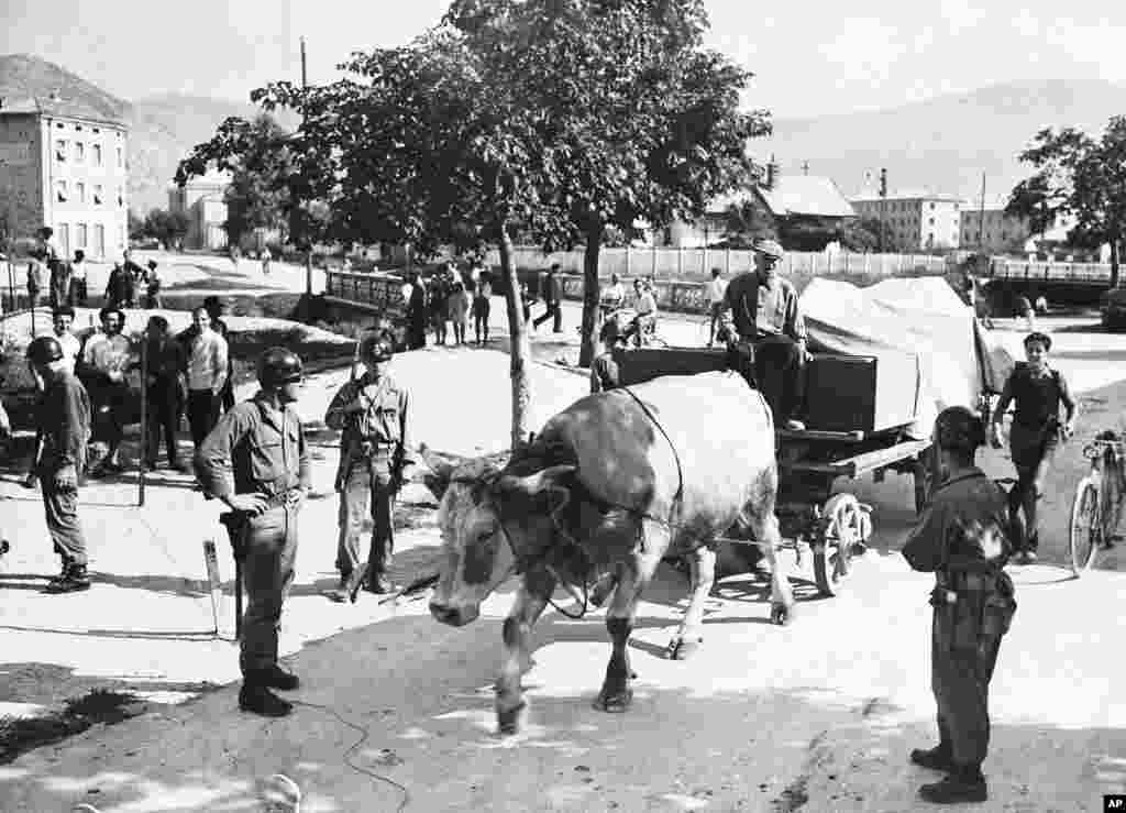 У 1947 році за два дні до ратифікації мирного договору з Італією фермер на своїй підводі, запряженій волами, перевіз все своє майно з території, яку мали передати Югославії, в район, що перебував під контролем Італії. Згідно з мирним договором з Італією, кілька островів і регіонів були передані Югославії після поразки країн Вісі у Другій світовій війні