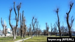 Білогірський міський сад