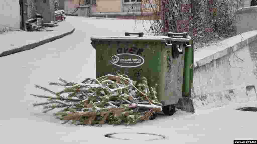 Викинута після свят ялинка