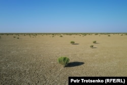 Бір кездегі Арал теңізінің табаны қазір шөлейт жерге айналған. Қызылорда облысы, 3 шілде, 2024 жыл.