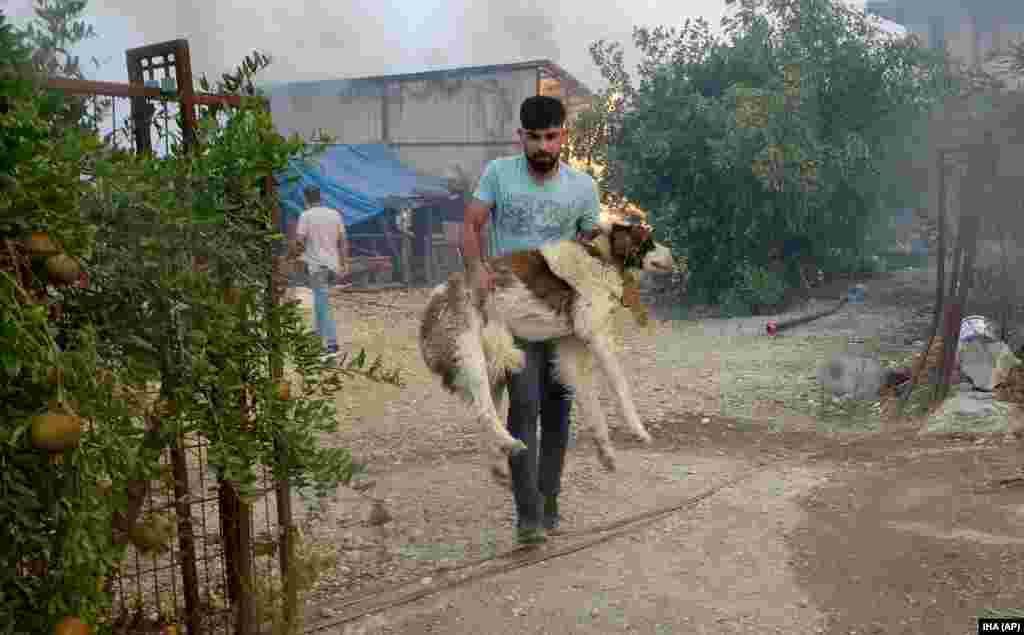 У МЗС України заявляли, що&nbsp;не мають даних&nbsp;про загиблих чи постраждалих українців