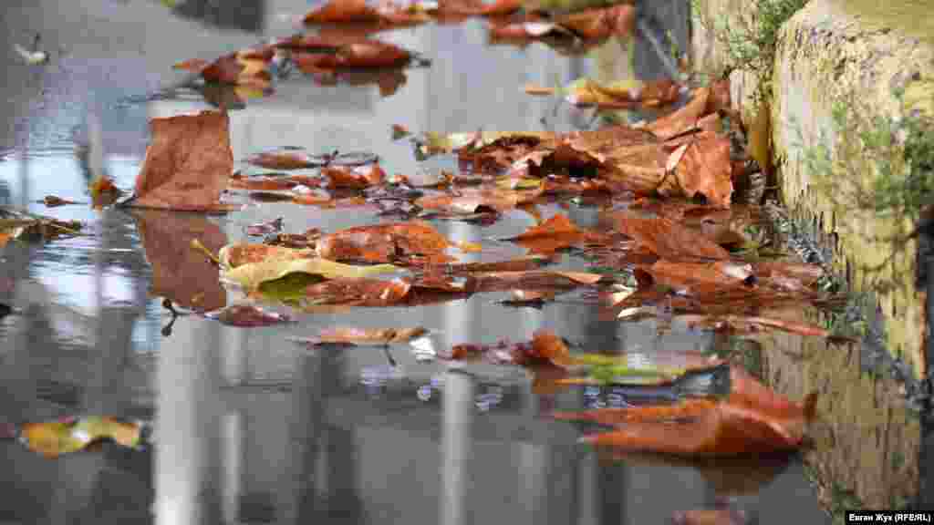 Потоки води несуть листя до зливової каналізації