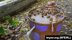 Село під Кримськими горами: Зеленогірське в умовах «водної кризи» (фотогалерея)