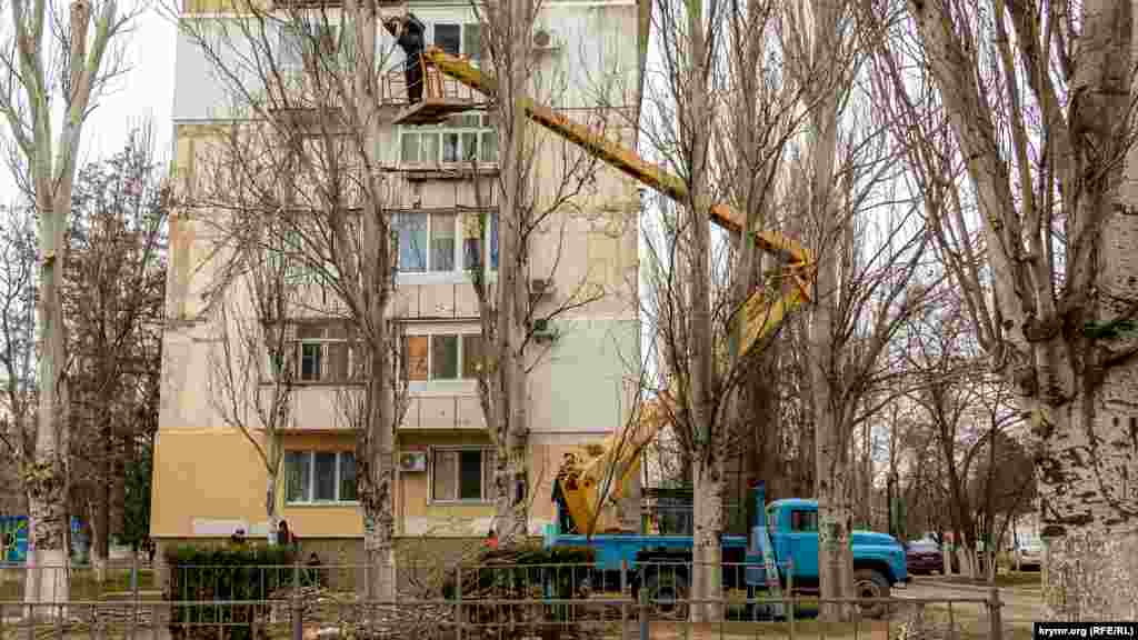 І одночасно займаються санітарним обрізанням тополь на тій же вулиці