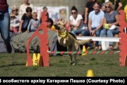 Маліна підкорює аджиліті