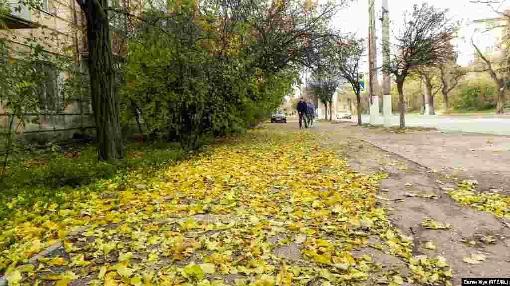 Тротуари жовтіють опалим листям