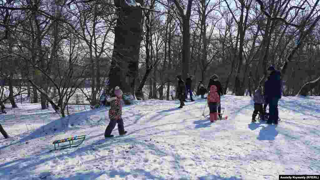 Гірка біля старого дуба