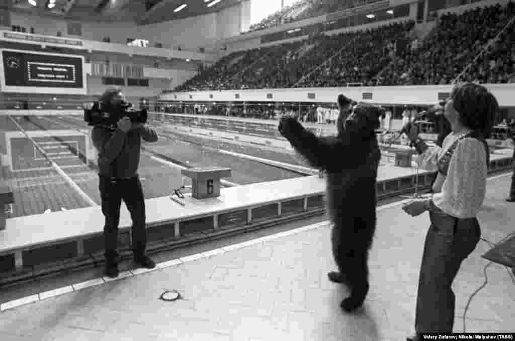 Ведмідь аплодує відкриттю олімпійського басейну в Москві