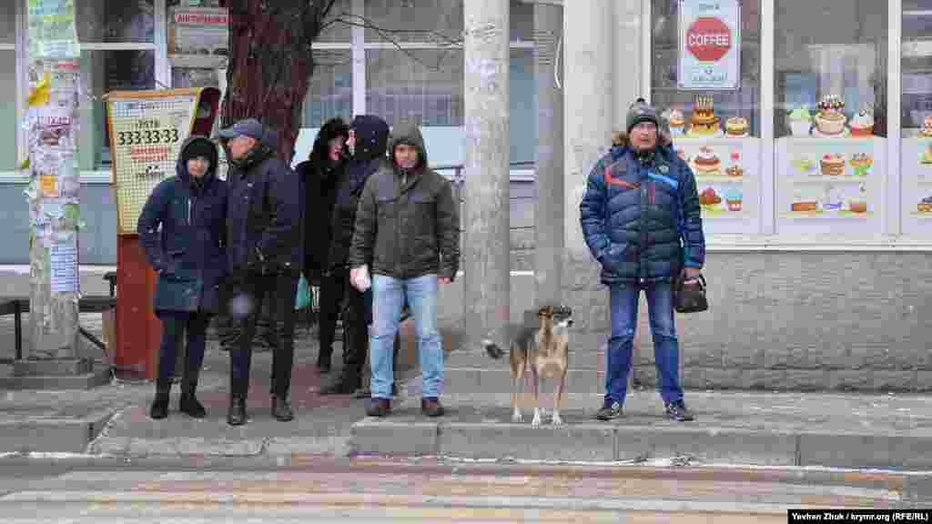 Севастопольці вперше після нового року одягнули шапки і капюшони