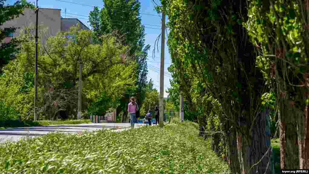 Село Білоглинка починається з багатоповерхівок відразу ж за мостом через річку Салгир (ліворуч)