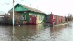 Петропавлда 105 үйді су басты